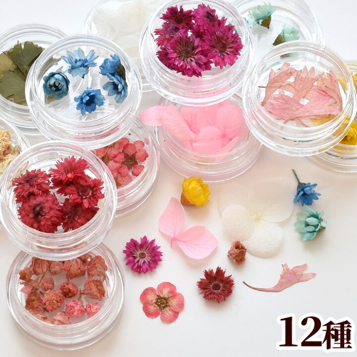 押し花セット レジンパーツ ドライフラワー レジン Uvレジン レジン液 Uv クラフト アクセサリーパーツ 手芸 ハンドメイド 手作り工房 ｍｙ ｍａｍａ ハンドメイド ピンクのハートの ネックレス レジン 押し花 Mariomilano Com Tr