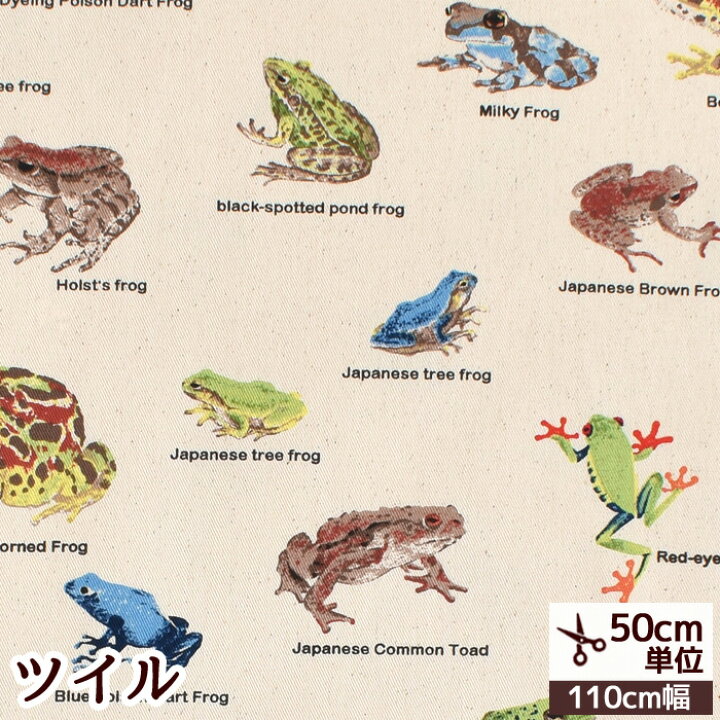 楽天市場 ツイル 生地 カエル 図鑑 カエル図鑑 かえる 蛙 Frog 生物 入園 入学 通学 通園 男の子 綿 コットン 生成り 布 国産 レッスンバッグ シューズ バッグ クッション カバー インテリア リアル プリント 手作り 手芸 ハンドメイド 商用利用可
