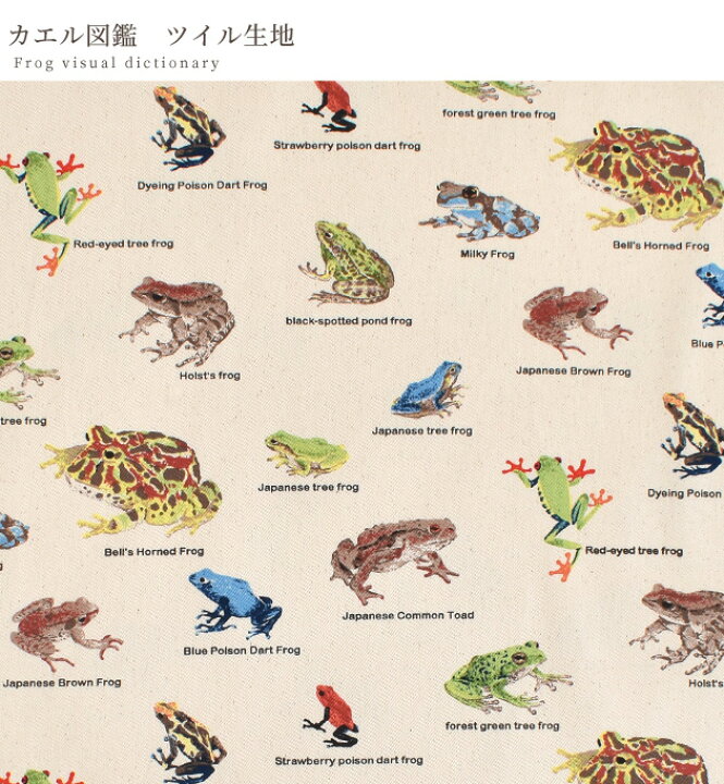 楽天市場 ツイル 生地 カエル 図鑑 カエル図鑑 かえる 蛙 Frog 生物 入園 入学 通学 通園 男の子 綿 コットン 生成り 布 国産 レッスンバッグ シューズ バッグ クッション カバー インテリア リアル プリント 手作り 手芸 ハンドメイド 商用利用可