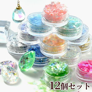 レジン オーロラ 乱切り ホログラム 封入パーツ 12種 アソートセット ケース付き ■ オーロラフィルム クラッシュホログラム 封入 パーツ ネイル ネイルパーツ ハーバリウム クラフト ハンド