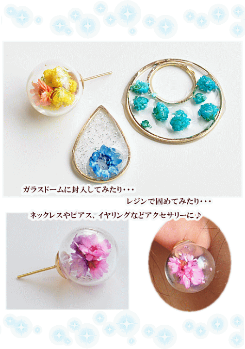 楽天市場 完売しました ブリザーブドフラワー 12種 アソートセット ドライフラワー ハーバリウム ネイル 花 封入パーツ レジン Uvレジン レジン液 Uv クラフト アクセサリーパーツ ハンドメイド 手芸 手作り 手作り工房 ｍｙ ｍａｍａ