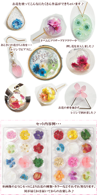 楽天市場 お花 の アソートセット 12種 ドライフラワー プリザーブドフラワー ハーバリウム ガラスドーム ピアス イヤリング ジェル ネイル デコ パーツ 花 押し花 紫陽花 あじさい 封入 レジン Uvレジン レジン液 ハンドメイド 手作り工房 ｍｙ ｍａｍａ