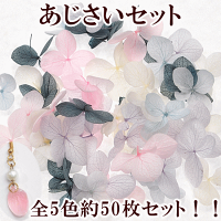 【訳あり】あじさい5色約50枚箱入り《紫陽花花ドライフラワープリザーブドフラワーハーバリウムガラスドームピアスイヤリングジェルネイルネックレスデコパーツ封入パーツUVレジンレジン液アクセサリー手芸手作り》