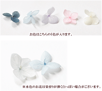 【訳あり】あじさい5色約50枚箱入り《紫陽花花ドライフラワープリザーブドフラワーハーバリウムガラスドームピアスイヤリングジェルネイルネックレスデコパーツ封入パーツUVレジンレジン液アクセサリー手芸手作り》