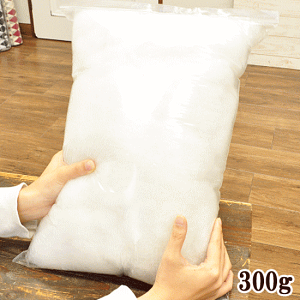 y9/5 SiP5{z|p 킽 300g |GXe  ߖ ʂ  h[ l` | ޗ |ޗ nhCh 