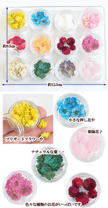 楽天市場 お花 の アソートセット 12種 ドライフラワー プリザーブドフラワー ハーバリウム ガラスドーム ピアス イヤリング ジェル ネイル デコ パーツ 花 押し花 紫陽花 あじさい 封入 レジン Uvレジン レジン液 ハンドメイド 手作り工房 ｍｙ ｍａｍａ