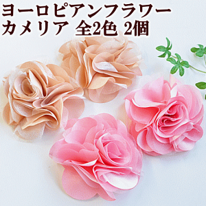 y撅150~OFFN[|zy LTCY z[sAt[ JA 2Zbg S2F  t[`[t  `[t  ANZT[ p[c | nhCh  djh23 