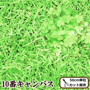 10番 キャンバス 生地 芝生でゴロン ■ neon ジェーン kokka コッカ 布 綿 100% グリーン 芝 ピッチ プリント生地 ぷらんぷちぃくす ハンドメイド 手芸 手作り eki10 ■