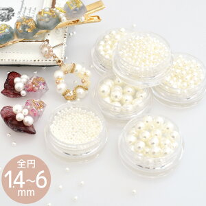 yő1,000~OFFN[|zȂ S~ p[ S6TCY  W  lC n[oE fRp[c fR p[c Eh sAX CO ANZT[ AW Ntg | n