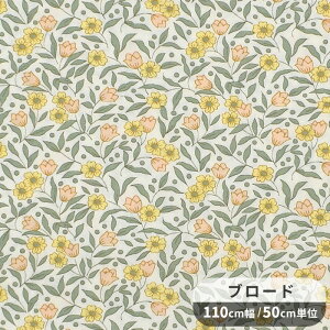 u[h n {k[  ԕ  ԕ t[ A z  Rbg Vc uEX m Gv CeA G nhCh |  pp eki10 