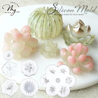 【全品P5倍9/20限定】シリコン 型 モールド 多肉 植物 6種 ■ シリコンモールド 多肉植物 リアル サボテ…