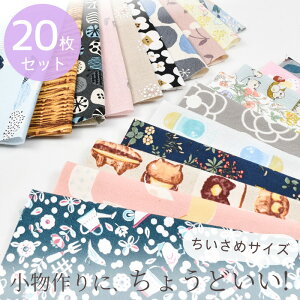 oGeB ~j ͂ Zbg 23×25cm 20 䂤pPbg  JbgNX  Aj}  |bv t[c XC[c 傤  z n S   |[` Ib