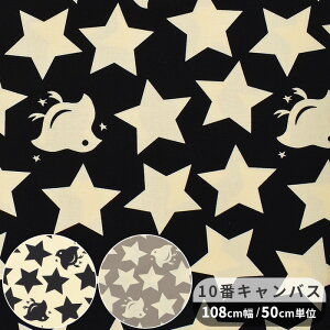 ̕z 10 LoX n   ǂ  ΂₵ X^[  ق star IV  i` z  Rbg obO Gv CeA G  w nhCh | 