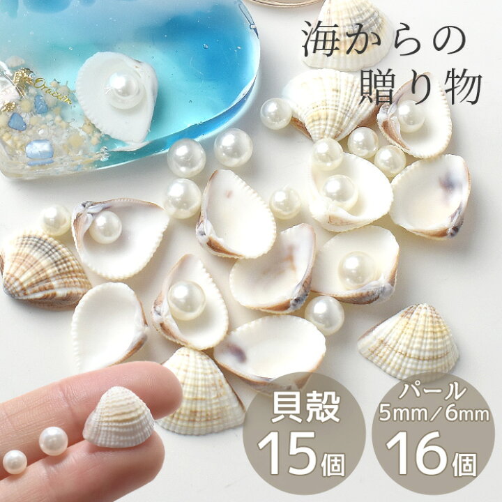 楽天市場】天然 リアル 貝殻 と パール セット 15個 / 16個 □ レジン 