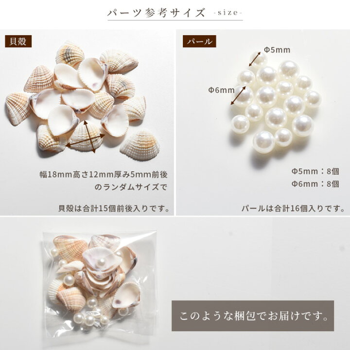 楽天市場】天然 リアル 貝殻 と パール セット 15個 / 16個 □ レジン 