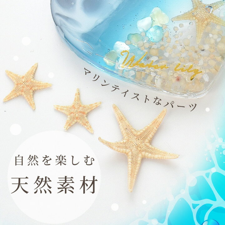 楽天市場】天然 リアル ヒトデ 10枚入 □ レジン アクセサリー 封入 