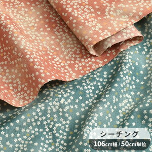 V[`O n Ԃ   Ԑ ԕ t[ a  z  Rbg 100% Y { obO s[X Vc nhCh  | pp eki10 