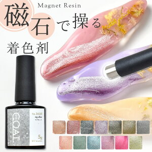 【単品】 簡単 レジン 着色剤 マグネット ワンコート クルール 5g 全13色 ブラシ付 ■ ラメ 刷毛付き LED UV 着色料 着色 カラー コーティング液 レジン液 クラフト アクセサリー パーツ 便利 初
