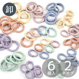【卸売り】カラー カラビナ キーホルダー パーツ 6個 2タイプ 全6色 + ミックス ■ くすみカラー カラフル ニュアンス ハイクオリティ マット 加工 金具 簡単 ナスカン パラコード アクセサリー レジン シャカシャカ 推し活 ハンドメイド 手芸 手作り djh23 ■
