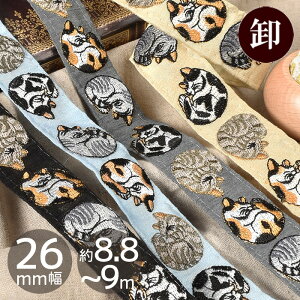 y1mP/z Ch hJ { ܂ ˂ 26mm 8.8`9m lR L Aj}  ChhJ Ch{ ChhJ{ `Ae[v V_[ Xgbv hイ 