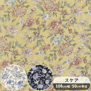 yő1,000~OFFN[|zXPA n _A  ԕ t[   i` R SEVENBERRY mX^WARNV 100  Rbg |[` В  obO Gv NbV