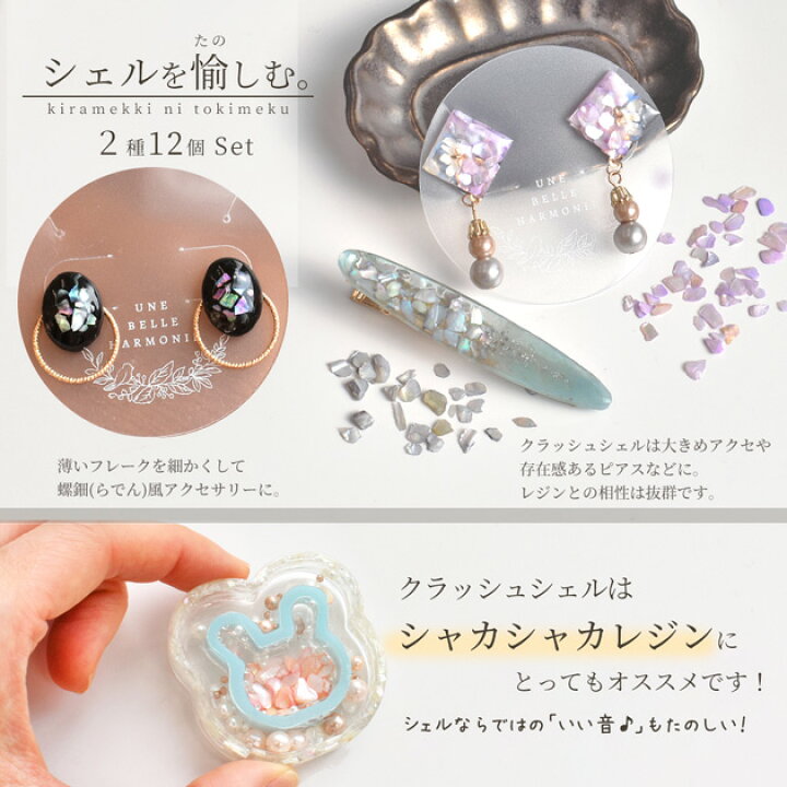 楽天市場】シェル フレーク 2種 計12個 セット 極薄 クラッシュ□ 天然 