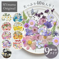 押し花 セット 40枚入 全9種 ■ドライフラワー ネイル レジン ミックス 花 はな ブリザード フラワー 封…