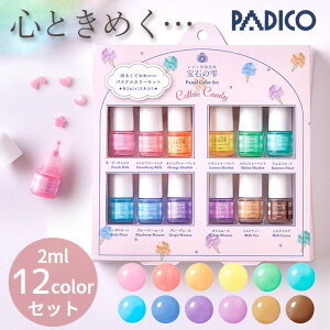 yő1,000~OFFN[|z20%OFF pWR PADICO Wp F ΂̎ pXeJ[ RbgLfB 12FZbg 䂤pPbg   W UVW Wt uv led Ntg A