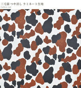 y[Ȓi 51+21Z`z ~l[g n OєL  rjR rj[R[eBO L lR ˂ ~P u` LR Lbg 킢  z G obO Y Rbg