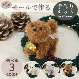 モールドール キット ふわふわ モール リース 全3色 レシピ 動画付き ■ モール人形 クラフトモール ハンドメイド 手芸 手作り モルドール X'mas クリスマス クリスマスリース 材料 オーナメント ■