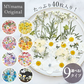 押し花 セット 40枚入 全9種 ■ドライフラワー ネイル レジン ミックス 花 はな ブリザード フラワー 封入 パーツ 花材 ハーバリウム カスミソウ アクセサリー ギフト キャンドル 天然素材 サシェ デコ 推し活 手芸 手作り ハンドメイド■