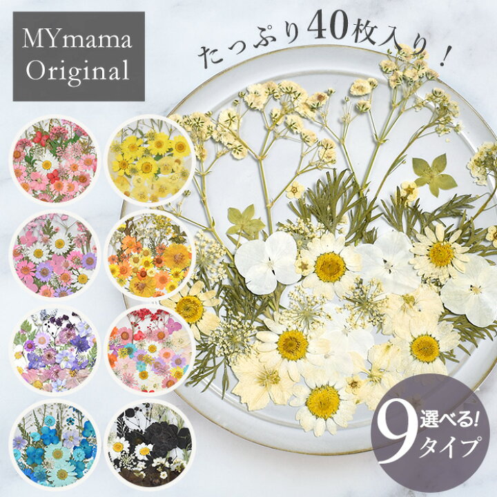 楽天市場】押し花 セット 40枚入 全9種 □ドライフラワー ネイル 