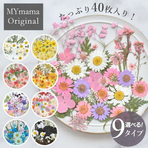  Zbg 40 S9 hCt[ lC W ~bNX  ͂ uU[h t[  p[c ԍ n[oE JX~\E ANZT[ Mtg Lh VRf T