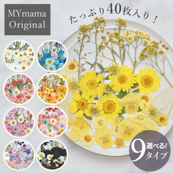 楽天市場】押し花 セット 40枚入 全9種 □ドライフラワー ネイル 