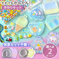 レジン不要 背景付き パッケージ キーホルダー キット つめきゅん 全2種 ゆうパケット送料無料 ■ ブリス…