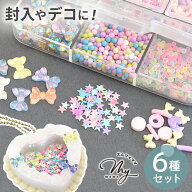 シャカシャカの中身 デコ パーツ パステル アソート 6種セット ケース付き 蓄光 偏光 ■封入 デコパーツ …