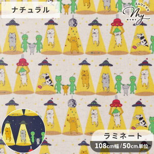  ~l[g n L  L ˂  Aj}   ʔ  Rbg LoX z rj[R[eBO ~l[gH rjR qǂ LbY  w 