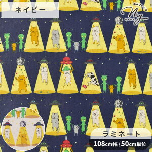  ~l[g n L  L ˂  Aj}   ʔ  Rbg LoX z rj[R[eBO ~l[gH rjR qǂ LbY  w 