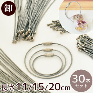 yz lW C[ L[z_[ 30{  11cm / 15cm / 20cm / ~bNX  ܂Ƃߔ  Ɩp ≮ L[O XeX bNC[ `F[ ANZT[ Xgbv `