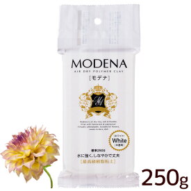 30%OFF！ パジコ PADICO 樹脂粘土 モデナ ホワイト 250g 303109 《 Modena White 高級粘土 樹脂 粘土 モデナホワイト ねんど 半透明 軽量 丈夫 耐水 白 材料 クラフト パーツ 国産 日本製 工作 ブローチ アクセサリー 雑貨 小物 子供 手芸 手作り 》