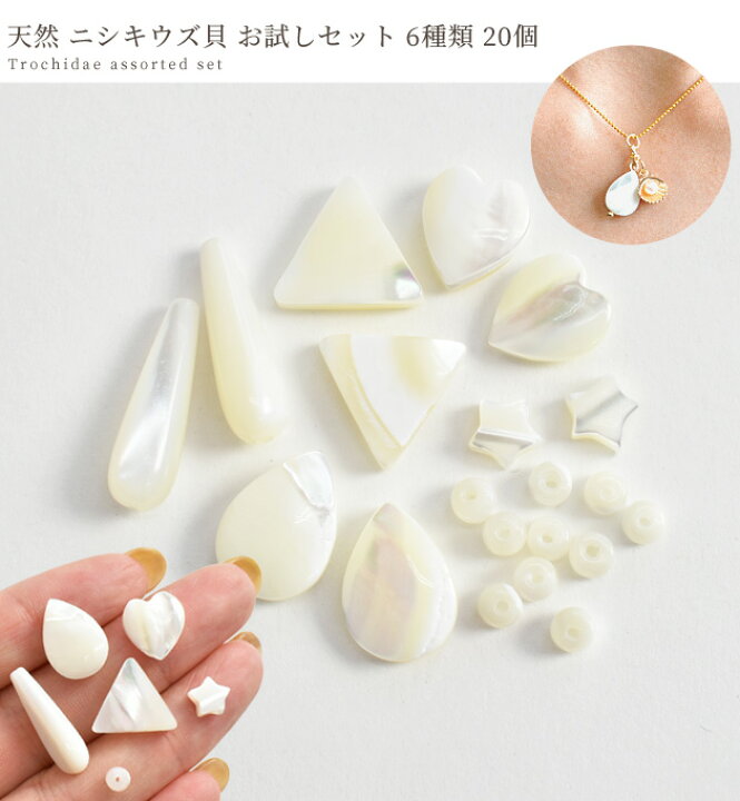 楽天市場】天然 ニシキウズ貝 アソートセット 6種 20個入り □ 錦渦貝 