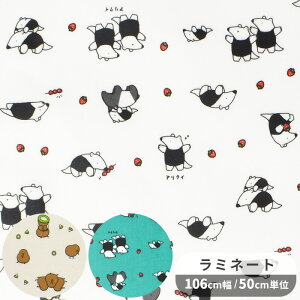  ~l[g n L[EB  ANC  gAj}[h Aj}  t[c ʕ LEC 킢 rj[R[eBO rjR ~l[gH V[`O Y z