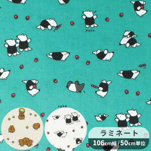  ~l[g n L[EB  ANC  gAj}[h Aj}  t[c ʕ LEC 킢 rj[R[eBO rjR ~l[gH V[`O Y z