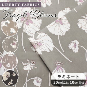 oeBvg ʒ Y  ~l[g 50ɏk tWCEu[X  LIBERTY FABRICS oeBEt@ubNX rjR rj[R[eBO 24-3634206S50 z ԕ t[ 