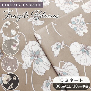 oeBvg ʒ Y  ~l[g 50ɏk tWCEu[X  LIBERTY FABRICS oeBEt@ubNX rjR rj[R[eBO 24-3634206S50 z ԕ t[ 