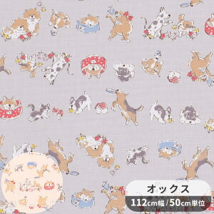 IbNX n  {[_[    Ck hbO 킢  Aj} vg  Rbg obO |[`  Gv CeA z Y nhCh pp eki10 