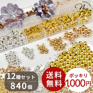 ^ r[Y ~bNX S12 Zbg  1000~|bL  2 ` 5mm 840 fR fRp[c ^r[Y S ANZT[  ~j    sNS[h sAX wAANZ W