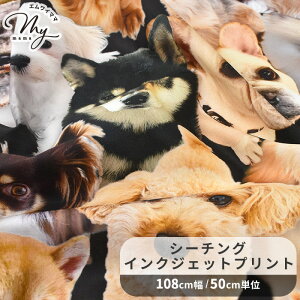 V[`O CNWFbgvg n tFCobg hbOY  KOMU STRADA Favorite Dogs  fW^vg  Ck ʐ^  A obO В  |[`  Gv z  Rb