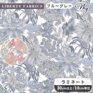 oeBvg Y  ~l[g AWFJEK[  LIBERTY FABRICS oeBEt@ubNX n z rj[R[eBO 3631034 ԕ 啿 t[ nhCh | 