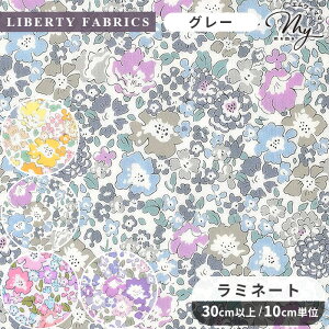 oeBvg Y  ~l[g ~VF  LIBERTY FABRICS oeBEt@ubNX n z rj[R[eBO 3636017 ԕ  t[ nhCh |  